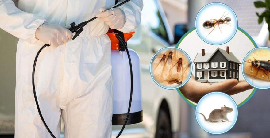 Reşadiye Böcek İlaçlama