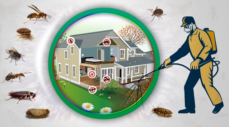 Reşadiye Böcek İlaçlama