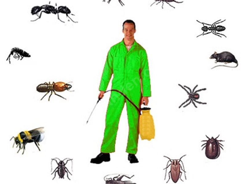 Reşadiye Böcek İlaçlama